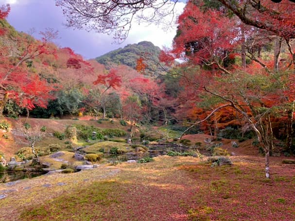 清水寺本坊庭園 雪舟が造った庭園の真っ赤に色づく紅葉に心奪われる【みやま市】