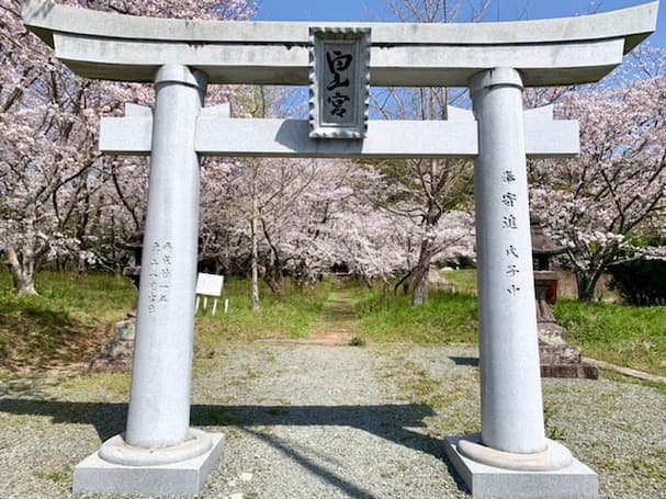 「白山神社」桜のトンネル参道がとっても綺麗【大牟田市】
