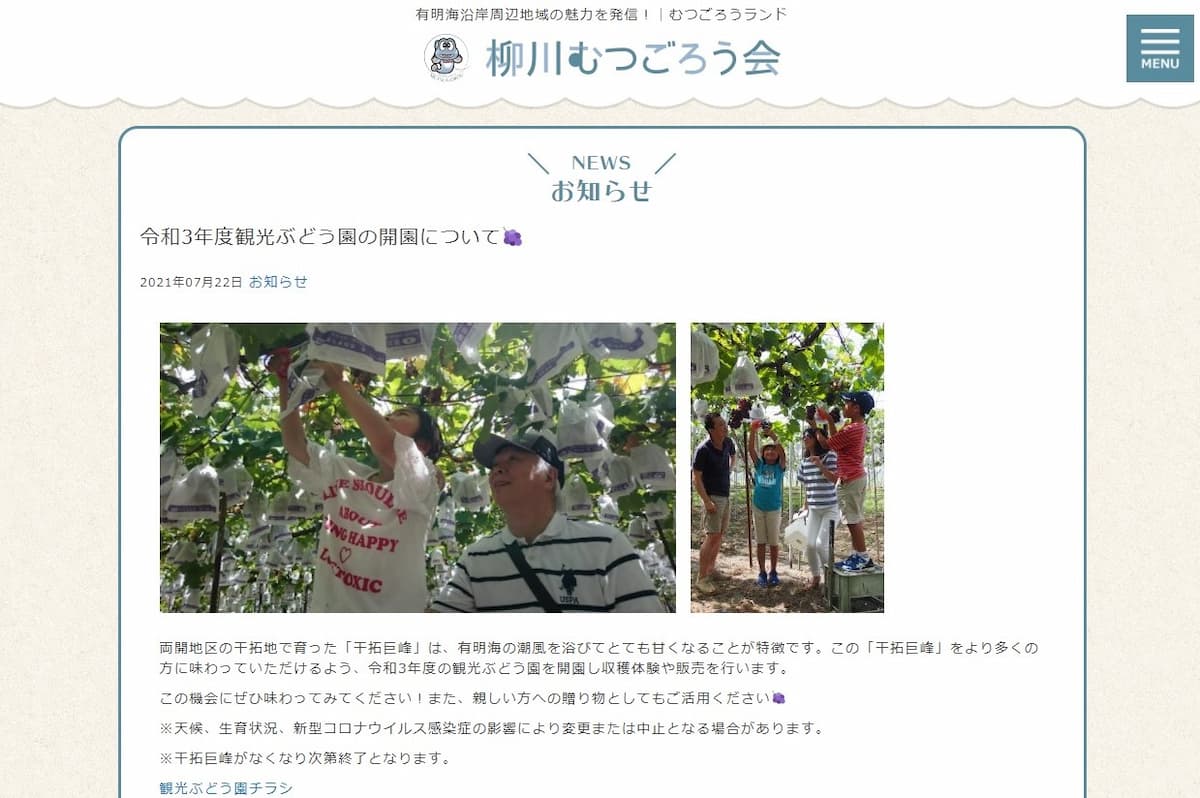 「柳川観光ぶどう園」で有明海の潮風を浴びた“干拓巨峰”の収穫体験ができる。8月10日から