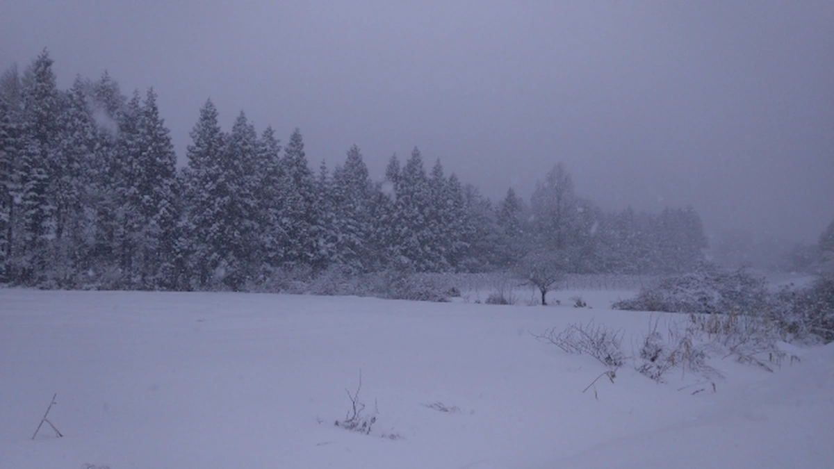 12月21日未明から22日にかけて大雪のおそれ　平野部でも積雪警戒