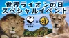 大牟田市動物園で世界ライオンの日スペシャルイベント開催！