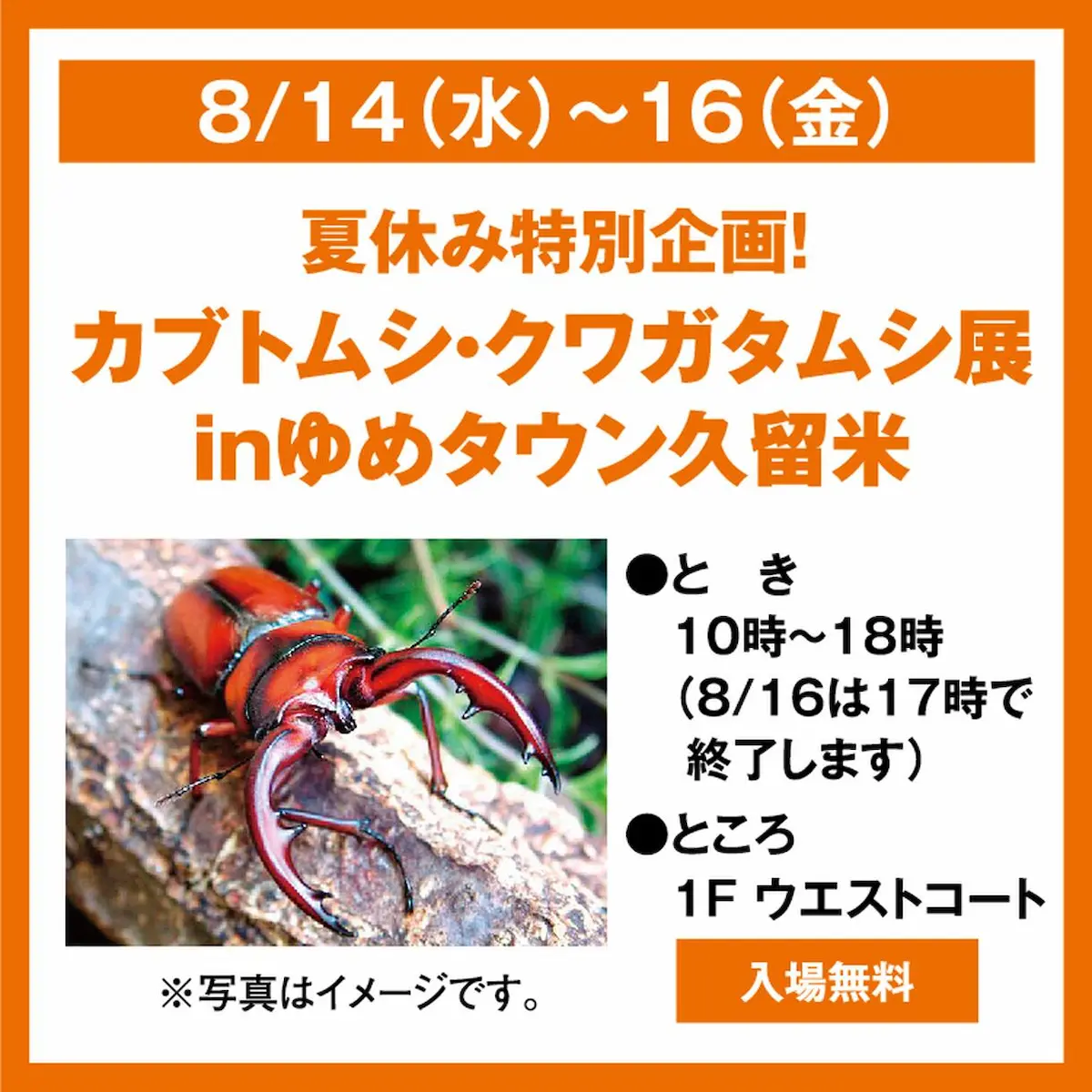 夏休み特別企画！カブトムシ・クワガタムシ展 in ゆめタウン久留米