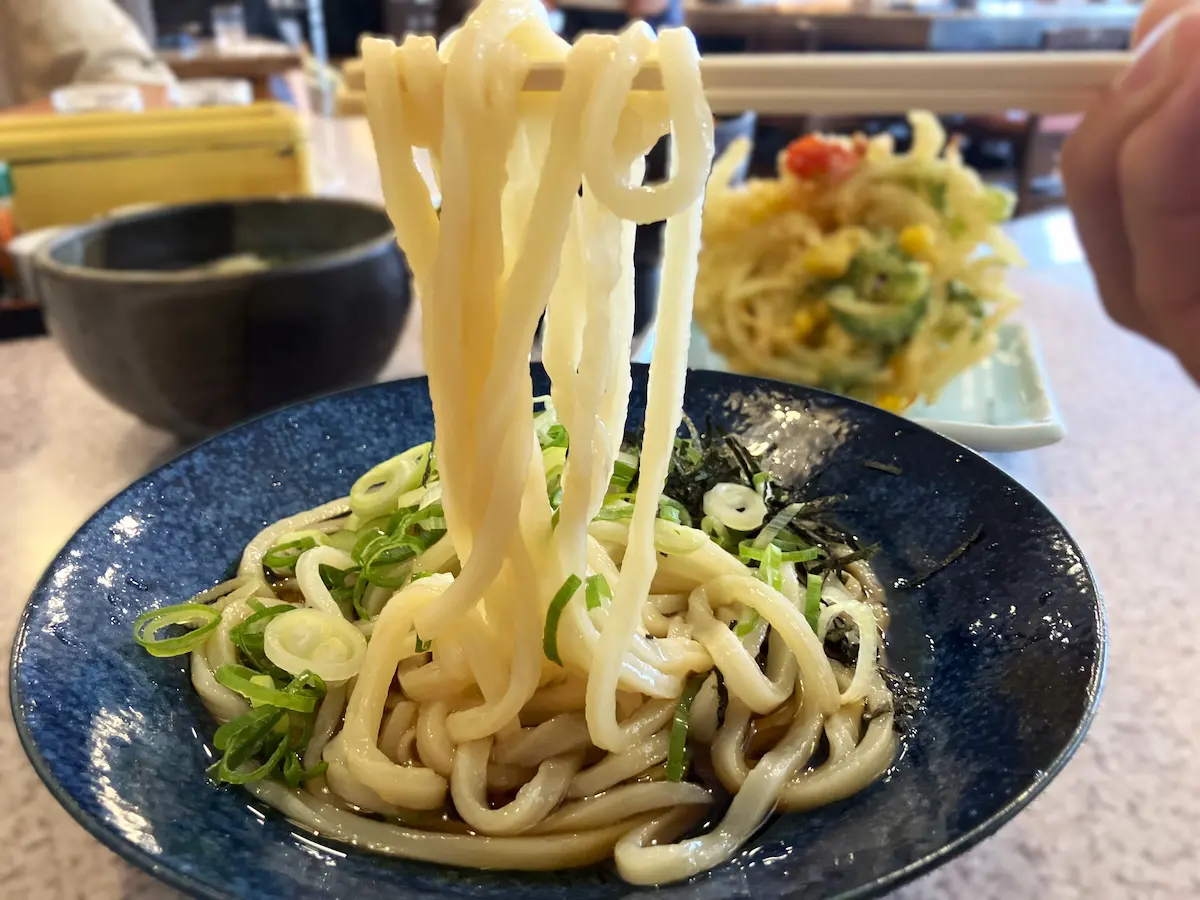 うどん茶房 麺楽のゴーヤのかきあげぶっかけうどん