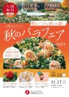 石橋文化センター「秋のバラフェア2024」　400品種2600株の秋のバラが色鮮やかに咲き誇る！