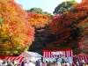 宝の山高良山もみじ狩り祭り2024　紅葉の名所「もみじ谷」で楽しいイベント盛りだくさん！