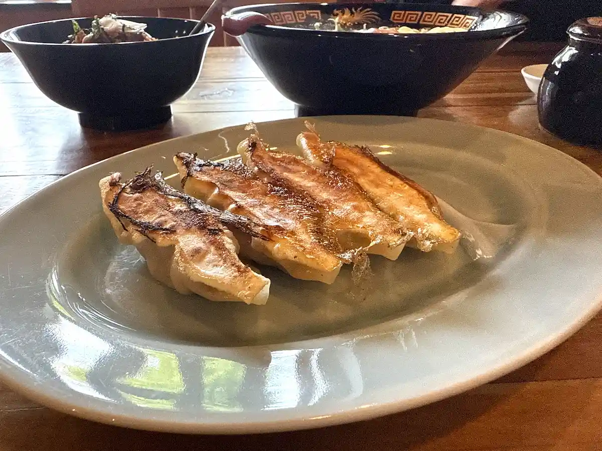 きてんの焼き餃子