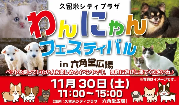 久留米市「わんにゃんフェスティバルin六角堂広場」　ペットを飼っていない人でも楽しめるイベント！
