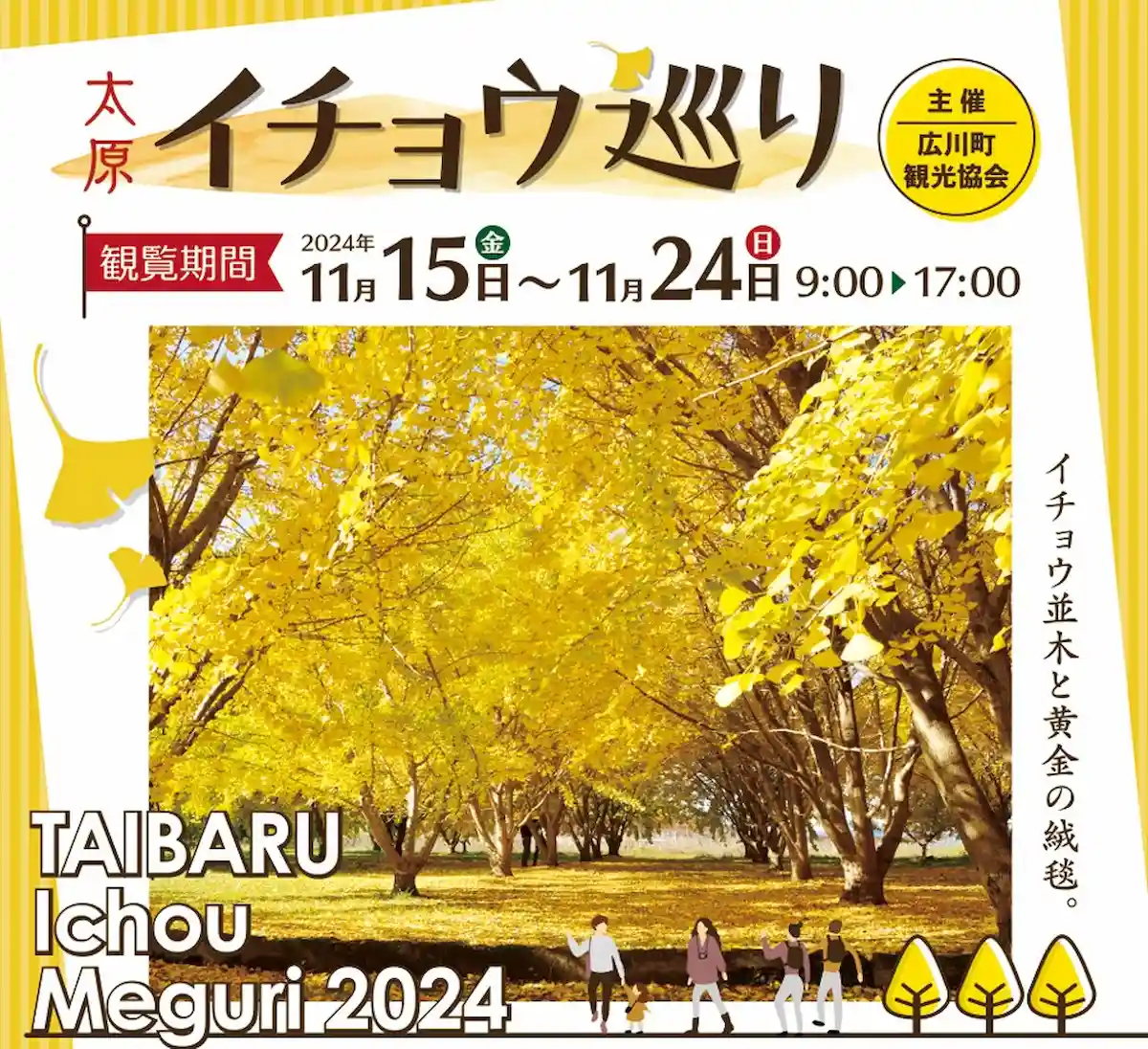 広川町で「太原イチョウ巡り」開催　イチョウ並木と黄金の絨毯が見頃に！