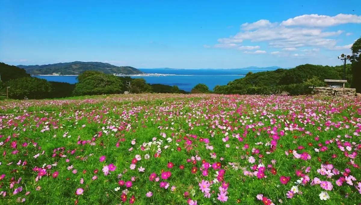 能古島