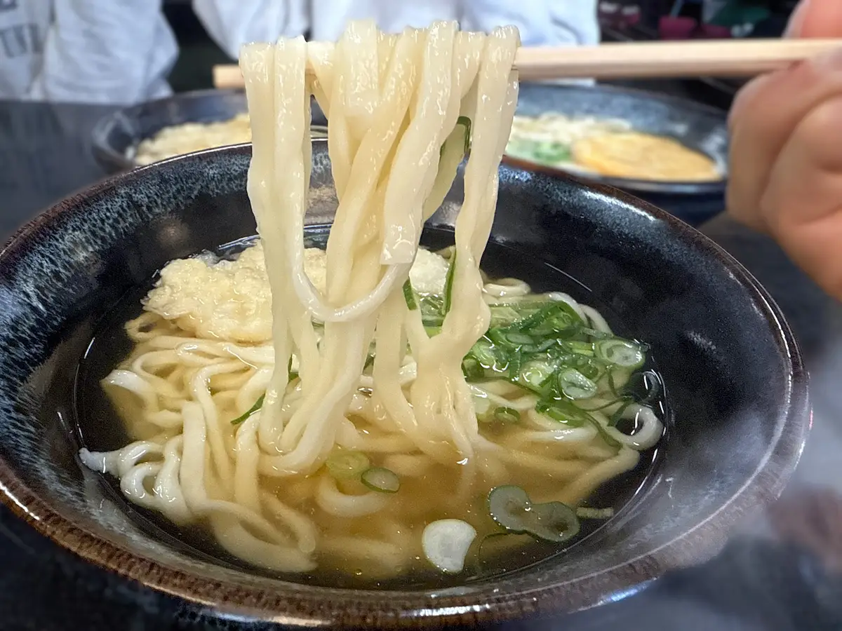 桐乃家のいか天うどん