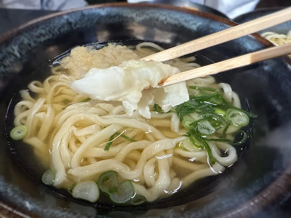 桐乃家のいか天うどん