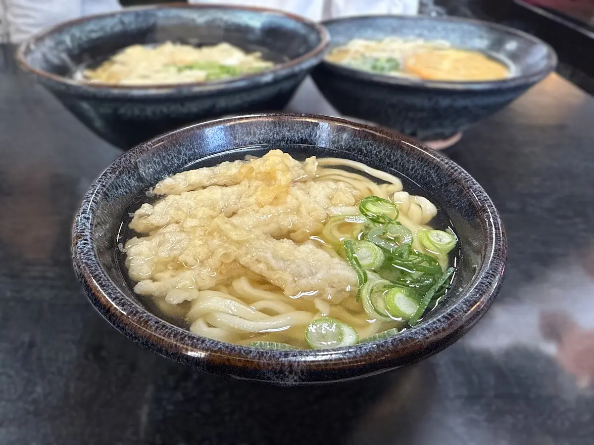 桐乃家のごぼう天うどん