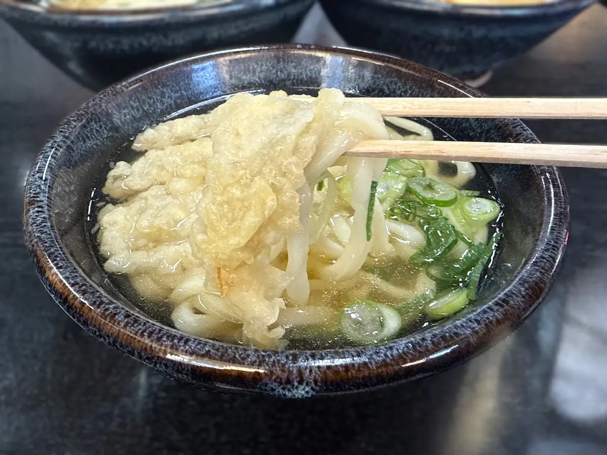 桐乃家のごぼう天うどん