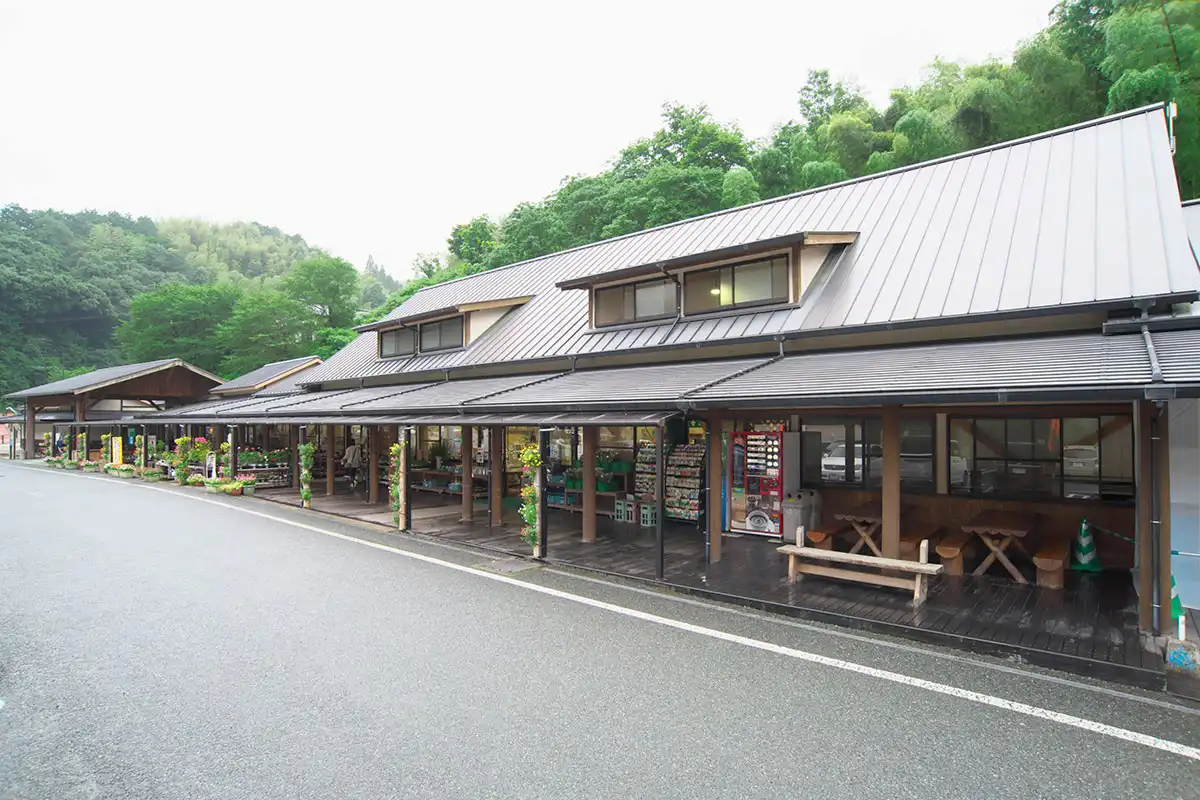 道の駅たちばな