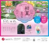 石橋文化センター「初夏の花まつり2025」初夏の水辺の花々やホタル観賞など楽しめる！（久留米市）