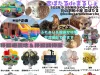 「恋ぼたるdeマルシェ」ハンドメイド雑貨やグルメのお店が出店！移動遊園地と移動動物園も（筑後市）