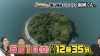 大牟田の丸すぎる謎の無人島大公開！「福岡くん。」6月1日放送