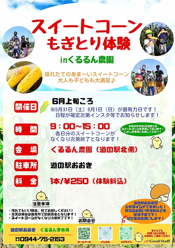 「スイートコーンもぎとり体験 in くるるん農園」採れたてのあま～いスイートコーンで大人も子供も大満足！