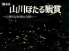 「山川ほたる観賞2025」みやま市に今年もほたるがやってくる！鑑賞は平日がおススメ
