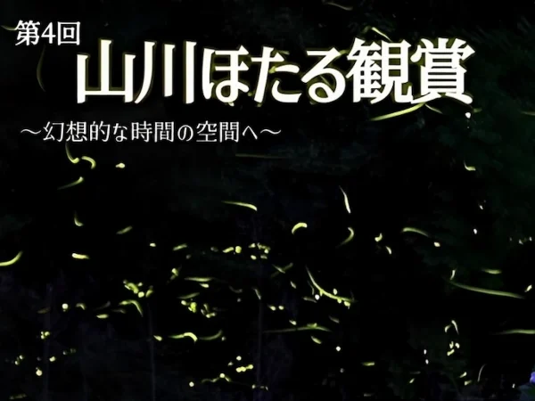 「山川ほたる観賞2025」みやま市に今年もほたるがやってくる！鑑賞は平日がおススメ