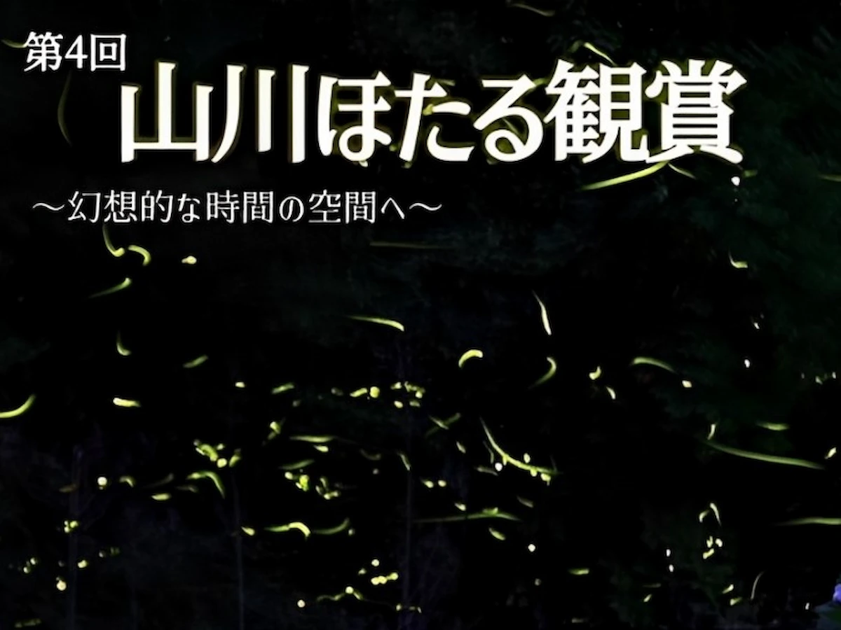 「山川ほたる観賞2025」みやま市に今年もほたるがやってくる!鑑賞は平日がおススメ