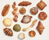 「haruta bakery八女店」が7月8日にオープンするみたい。京都伊三郎製ぱん八女店があったとこ