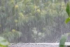 福岡県で大雨のおそれ　14日は土砂災害や河川の氾濫に警戒を