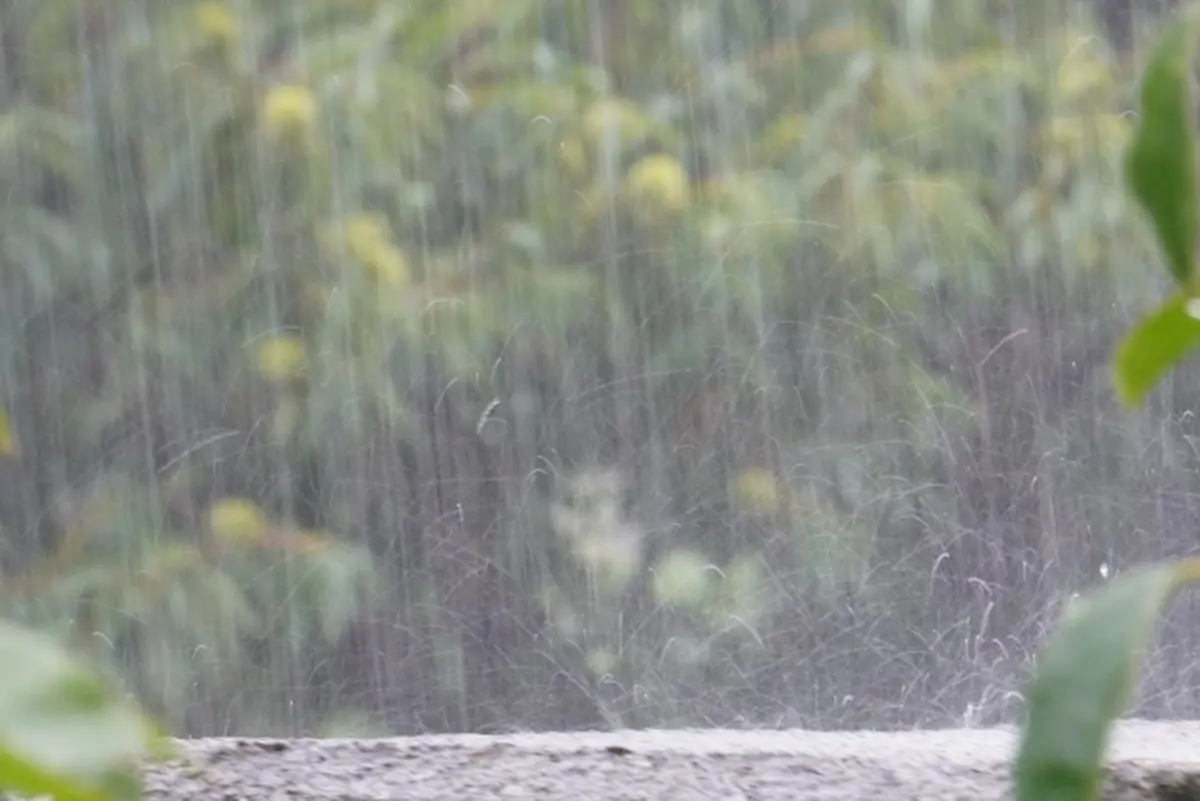 福岡県で大雨のおそれ 14日は土砂災害や河川の氾濫に警戒を