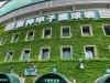 西日本短大付（西短）が2年連続で夏の甲子園出場決める！