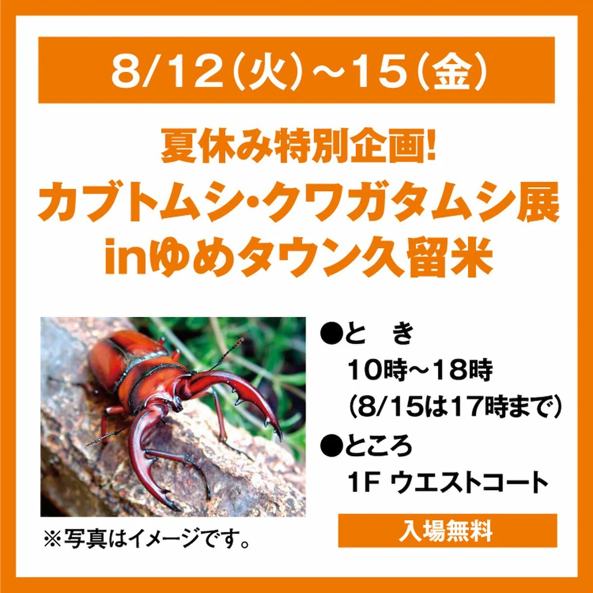 「カブトムシ・クワガタムシ展 in ゆめタウン久留米」 世界中の珍しいカブトムシやクワガタムシなどが登場!