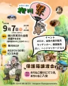 めだかと猫の「柳川祭2025」　めだか・金魚の展示販売と楽しいイベント満載！