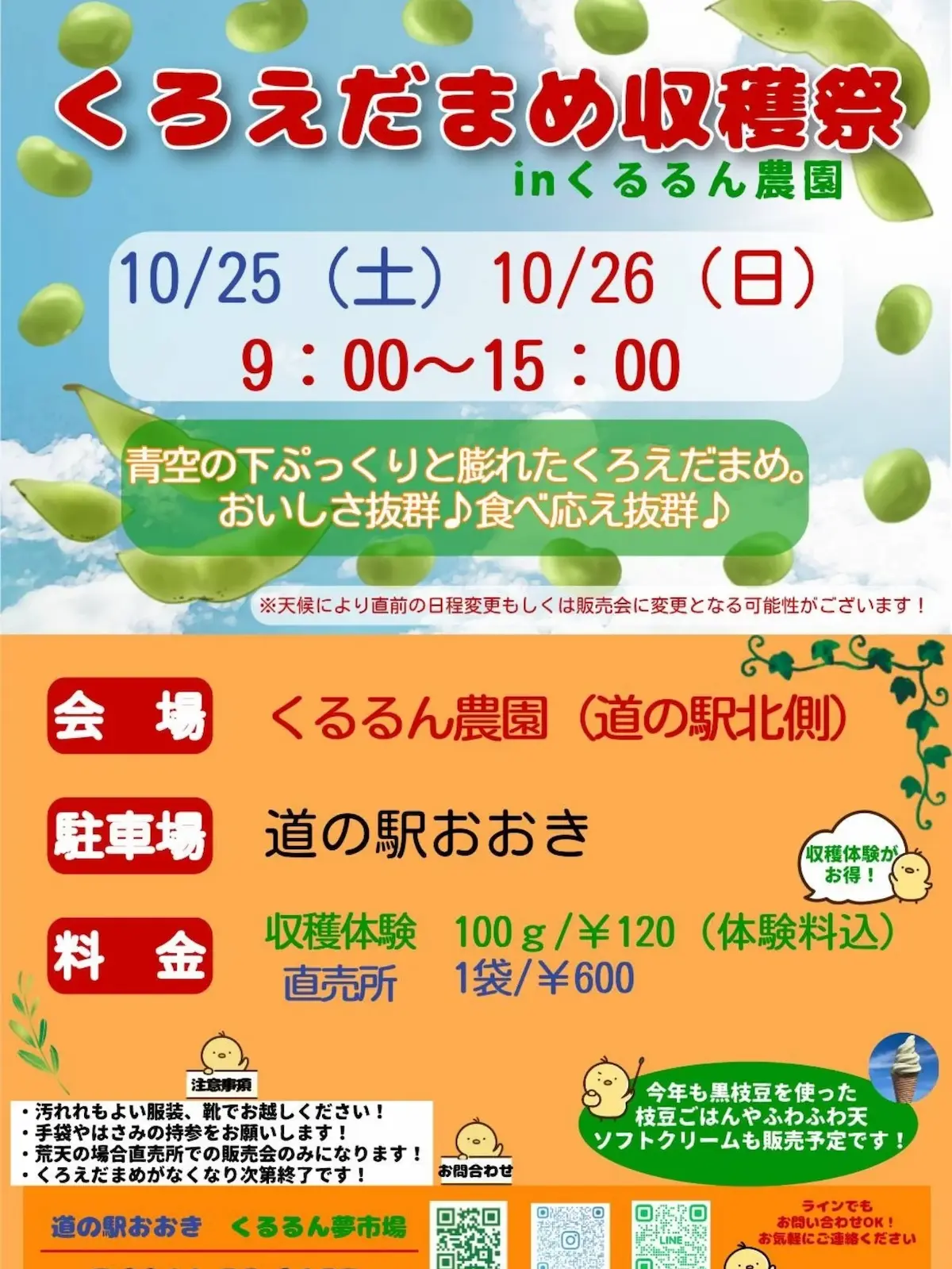 大木町「くろえだまめ収穫祭2025」 採れたての黒枝豆を食べられる数少ない体験!美味しさも食べ応えも抜群