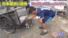 福岡“猫の島”で珍百景!「ナニコレ珍百景」10月26日放送