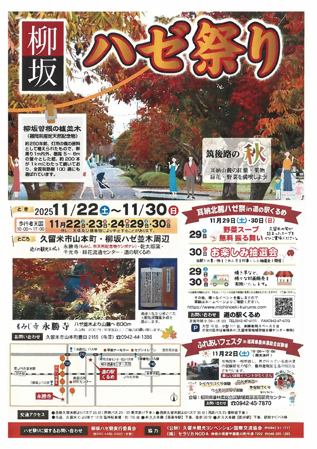 「柳坂ハゼ祭り2025」新・日本街路樹100景にも選ばれている人気の紅葉スポット！