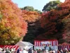 「宝の山高良山もみじ狩り祭り2025」江戸時代から続く紅葉の名所でステージイベントなど開催！