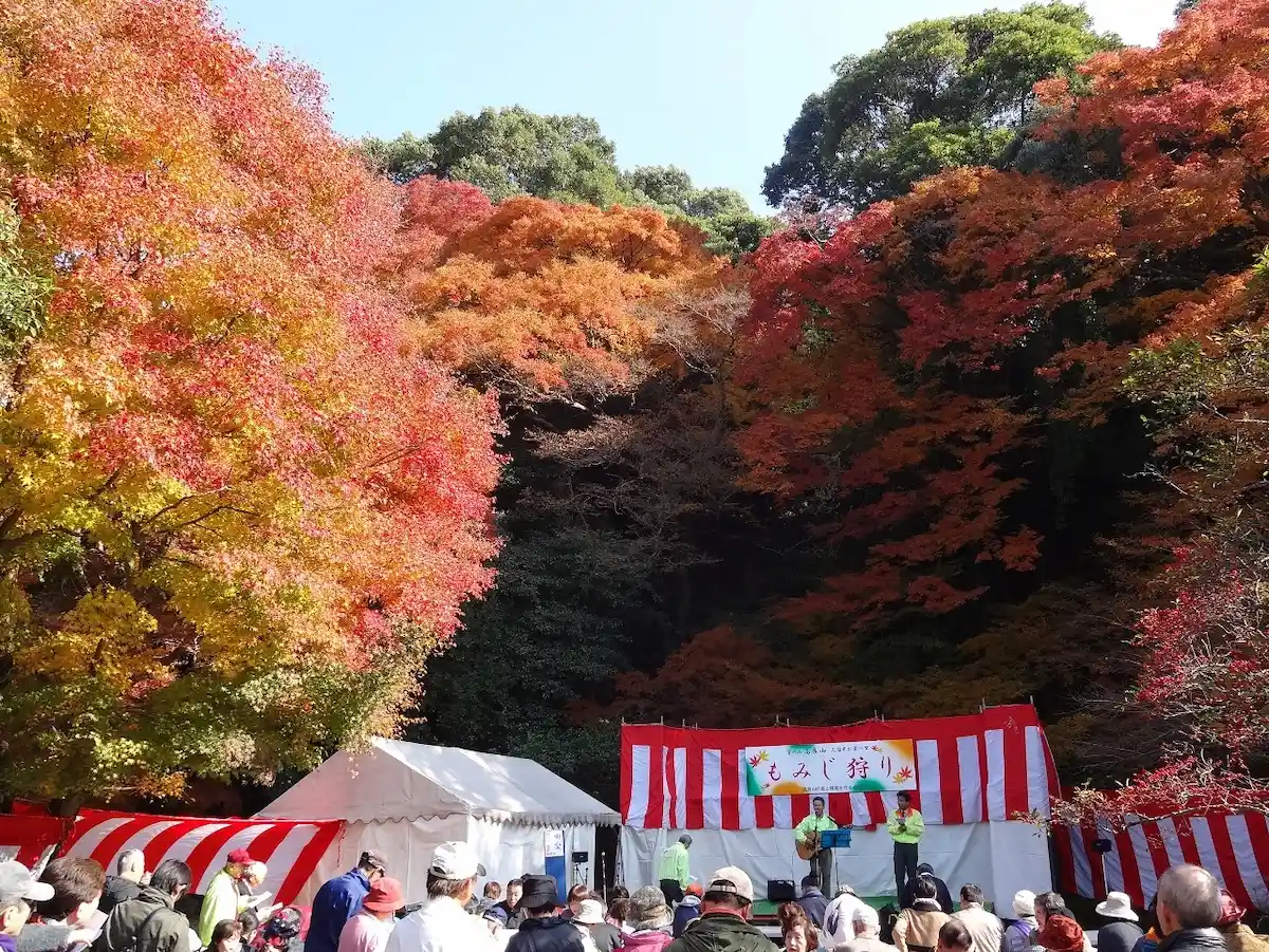 「宝の山高良山もみじ狩り祭り2025」江戸時代から続く紅葉の名所でステージイベントなど開催！