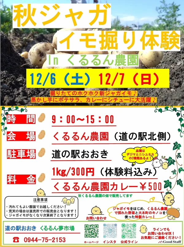 大木町「秋ジャガイモ掘り体験inくるるん農園」特製カレーの販売も！