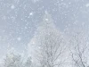 福岡県・平地でも大雪のおそれ　2日明け方から3日午前中にかけて