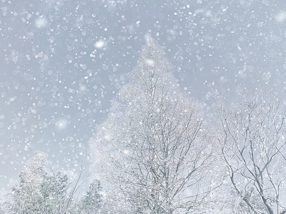 福岡県・平地でも大雪のおそれ 2日明け方から3日午前中にかけて