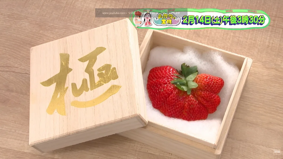 福岡の名産品などの最高級品は一体いくら？「ハカタの王様」2月14日放送