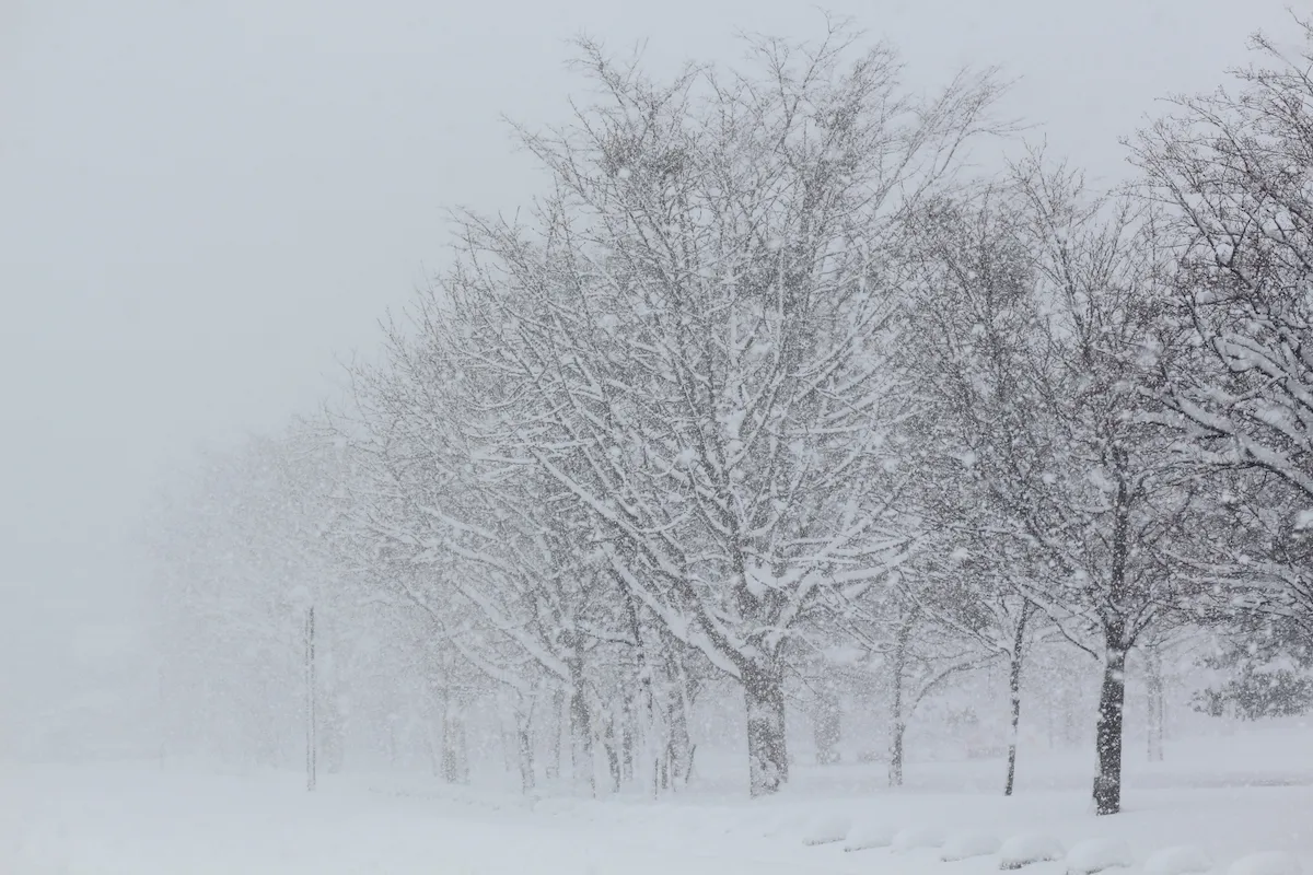 8日にかけ福岡県で大雪の可能性　平地も積雪、路面凍結に注意を