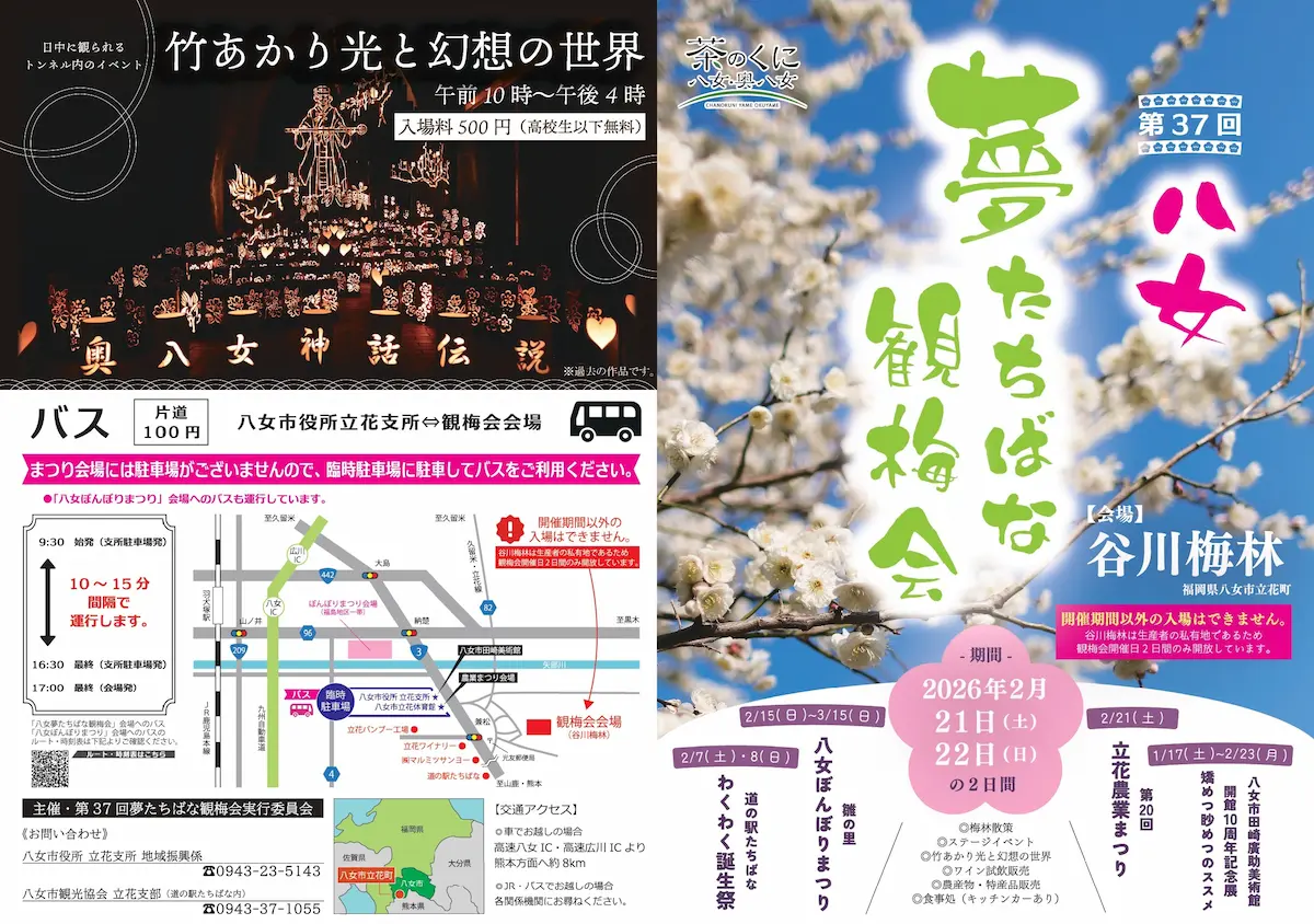 「第37回夢たちばな観梅会」の内容①