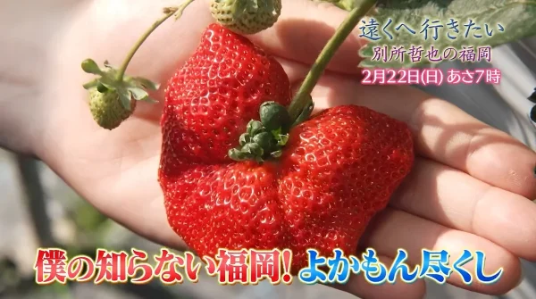 別所哲也が福岡を旅する！JR久大本線が通るうきは市から旅をスタート「遠くへ行きたい」2月22日放送