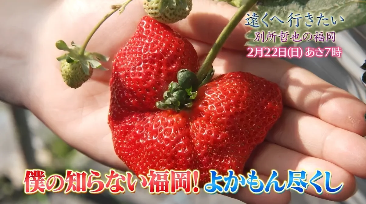 別所哲也が福岡を旅する!JR久大本線が通るうきは市から旅をスタート「遠くへ行きたい」2月22日放送