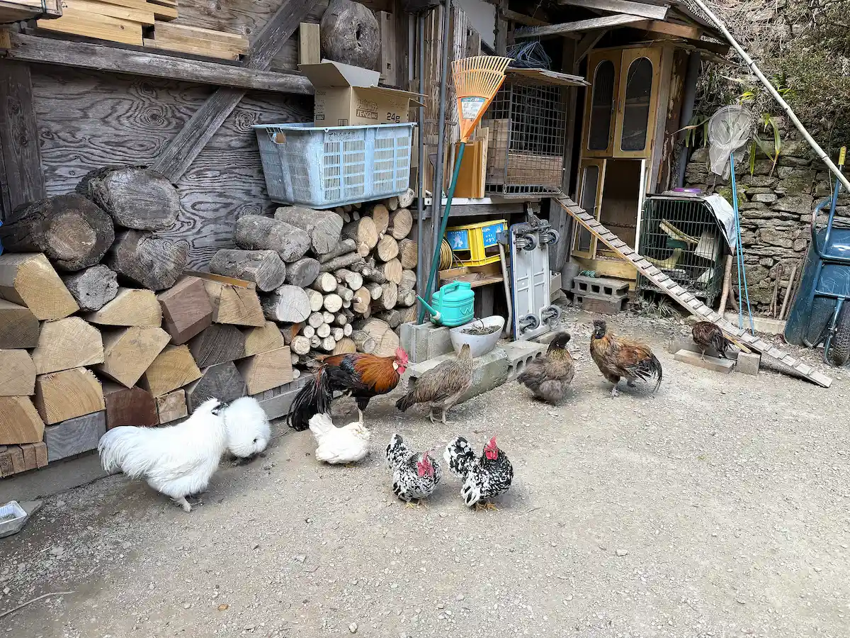 「山の民つづら」の外観②