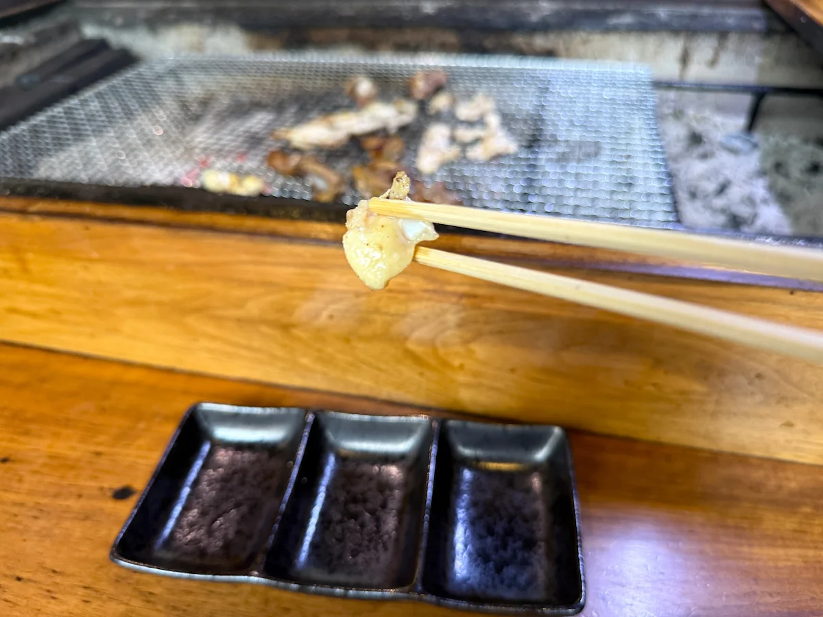 「遊の谷」の軟骨