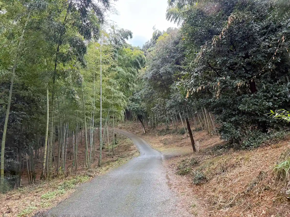 「遊の谷」への道順④