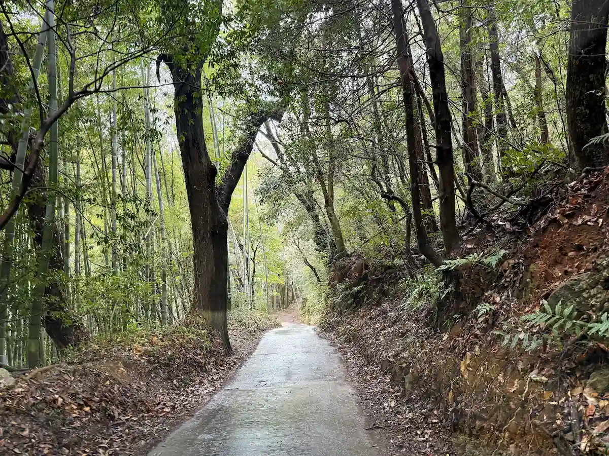 「遊の谷」への道順⑤