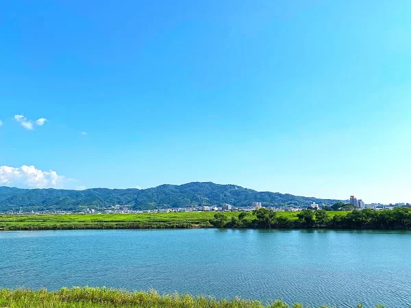 筑後弁「ぎゅった」と「おとんことんなか」の意味はなに？（ちっごクイズ）