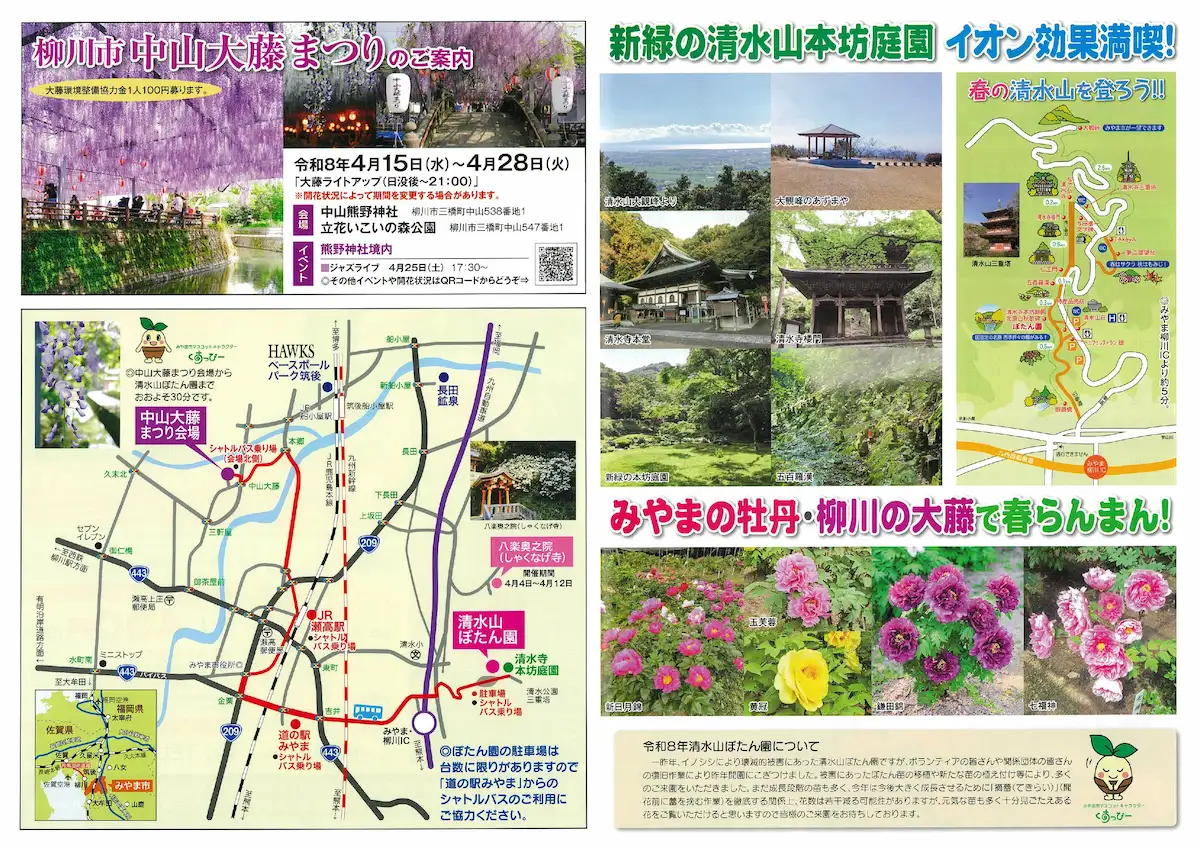 みやま市「清水山ぼたん園」　広大な回遊式庭園に咲き誇る牡丹！ぼたん鍋の振る舞いも